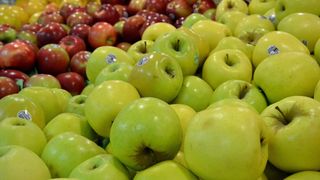 Cand sunt culese de fapt merele care se vand in supermarket