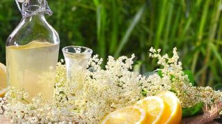 Secretul unei socate delicioase si parfumate