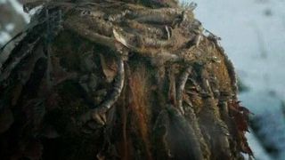 Romanca din Game of Thrones era cat pe ce sa apara intr-un film cu incasari uriase, cu Michael Fassbender in rolul principal! Regizorul a scos insa scena cu Octavia Selena Alexandru!