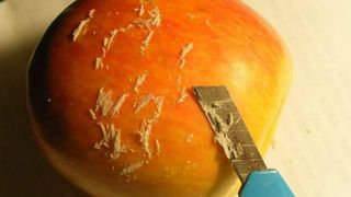 Dezvaluiri socante despre ceara cu care se acopera legumele si fructele