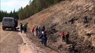 Creatura misterioasa, gasita de un grup de elevi la marginea unui sat