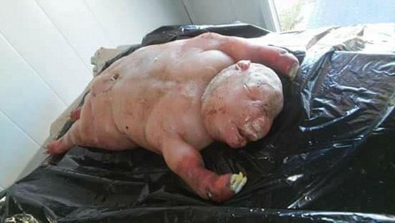 Sursa foto: dailymail.co.uk