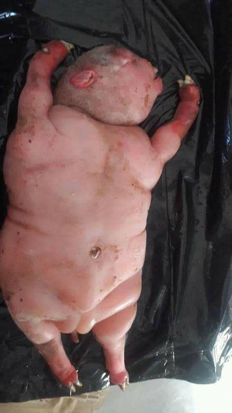 Sursa foto: dailymail.co.uk