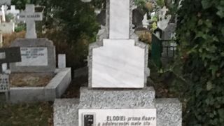 Un scriitor celebru a iubit-o patimas pe Elodia. "Prima floare a adolescentei mele studentesti" Acesta este mesajul de pe piatra funerara a lui Neagu Radulescu.