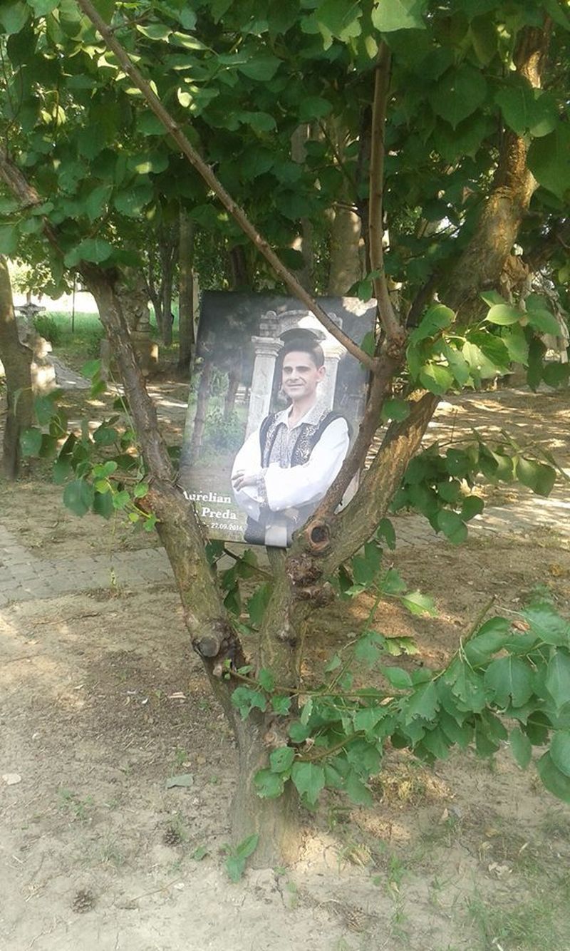 Portretul lui Preda, pe un copac de langa mormant