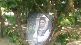 Portretul lui Preda, pe un copac de langa mormant