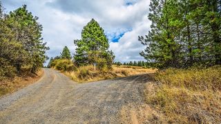 Aceste zodii au ajuns la rascruce. Schimbari decisive in viata luna viitoare