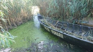 Groapa Vacaresti cu ale ei corturi de rromi este astazi Parcul Natural Vacaresti care rivalizeaza cu Delta Dunarii! Printul Charles a plantat un plop in rezervatia superba