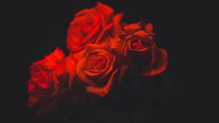 5 motive pentru care floraria online bate floraria de la colt de strada