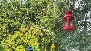 Paguba de sute de mii de dolari pentru fostul sef de la Dinamo, din cauza uraganului IMRA! Apartamentul din Florida al partenerului Valentinei Pelinel s-a devalorizat enorm in cateva zile