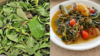 Planta pe care romanii o dau la porci, dar care poate vindeca cele mai crunte boli. Specialistii o considera hrana viitorului - Este extraordinar de buna