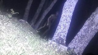 Imagini socante surprinse de politisti. "Prima imagine reala cu un extraterestru"