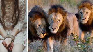 O fetita de 12 ani a fost rapita de 7 barbati. Credeau ca isi pot face de cap cu ea, dar cand leii i-au incercuit au facut ceva care a lasat o lume intreaga fara explicatie