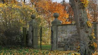 Testul care a devenit viral pe net si pe care putini il rezolva - Tu vezi femeia din poza? Daca da, ai un IQ extrem de ridicat