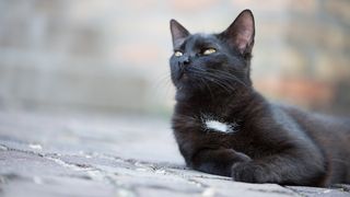 Zodiile care vor avea ghinion tot anul 2018! Pierd bani si se despart