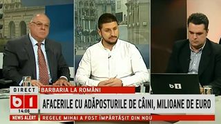Daniel Nicolaina, jurnalistul Stirilor Kanal D, prezent in studioul B1 TV, in cadrul emisiunii &bdquo;Dialoguri incomode&rdquo;! Dezvaluiri socante despre adaposturile de animale si afacerile cu caini comunitari