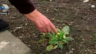 Mai ceva ca toamna! Vremea neobisnuit de calda i-a scos pe oameni la plimbare pe faleza!