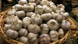 Beneficiile nemaipomenite ale usturoiului! E mai puternic decat antibioticele!