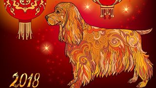 Horoscop chinezesc 2018. Anul Cainelui de Pamant aduce mari schimbari pentru unele zodii