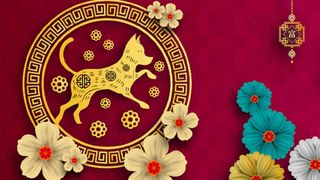 Horoscop CHINEZESC 2018. Ce aduce Anul Cainelui de Pamant pentru toate zodiile