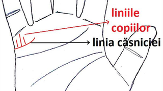 Cati copii vei avea: cum sa ghicesti in palma cati mostenitori o sa ai
