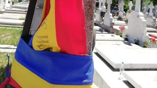 Brosa in forma de albina e prinsa de steag