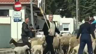 Oile lui Gigi Becali au imputit vilele milionarilor din Pipera: &ldquo;Deja se vand mai greu casele din cauza stanei&rdquo;