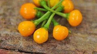 Un kilogram costa 11.000 de dolari! Un roman se pregateste sa dea lovitura cu ardei iuti din Peru