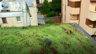 Vrem mai mult spatiu verde, dar nu avem loc pentru o gradina, nici macar pentru cativa metri patrati de gazon? Ei bine, solutia exista!