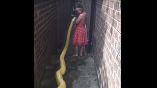 Video terifiant cu o fetita care se joaca cu un piton lung de 4 metri