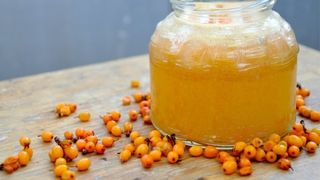 Regina imunitatii si remediu anti-imbatranire: catina cu miere. Iata cum se prepara corect!