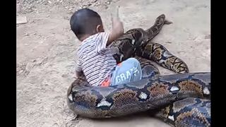 Video socant! Un copil se juca cu un piton gigantic in timp ce parintii lui il filmau. Ce s-a intamplat