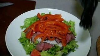 Mancare urbana! Ideile unor patroni de restaurante, cheia succesului in afaceri