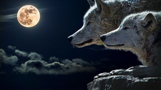 Horoscop SAPTAMANAL 24-30 septembrie 2018. Zile IMPREVIZIBILE cu Luna plina si Pluto iesind din retrograd! Ai CURAJ?