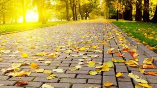 A venit vara &icirc;n mijlocul toamnei! Temperaturile ridicate i-au făcut pe rom&acirc;ni să iasă la terase sau chiar pe malul mării