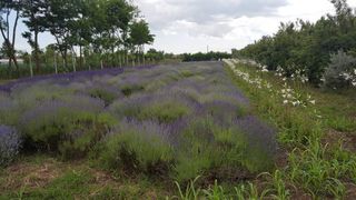 Turismul &icirc;n casele bunicilor a devenit o afacere profitabilă! Iată unde le puteţi găsi!