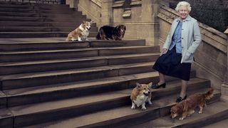 A murit Whisper, ultimul c&acirc;ine din rasa Corgi al Reginei Elisabeta a II-a!