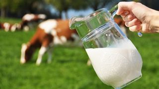 Au crescut importurile de lapte brut in primul trimestru al anului! Iata care sunt procentele