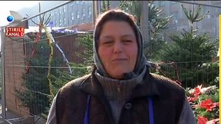 A inceput goana după brazii de Craciun. Care sunt preturile si cu ce oferte vin comerciantii