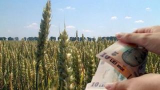Guvernul a majorat subventiile acordate in 2016 pentru motorina din agricultura