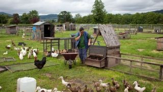 Ai o ferma mica? Ai putea primi 15.000 de euro de la stat ca sa-ti dezvolti afacerea