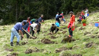 Cum puteti beneficia de 6.000 de euro de la stat prin Programul "Prima impadurire"