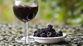 Vinul din mure, afacerea unei familii din Gorj, unica in Romania. Au vandut sute de sticle doar intr-o luna