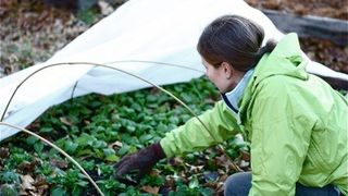 Esti tanar fermier? Poti primi de la stat 50.000 de euro. Iata ce trebuie sa stii