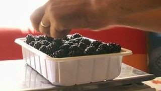 Agricultorii romani se lupta din rasputeri sa isi faca loc pe piata. Muncesc din greu, insa ajung sa isi vanda marfa la preturi de nimic