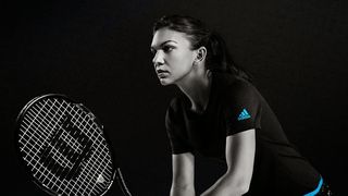 Unchiul Simonei Halep, executat silit de rudele victimei care a murit pe ferma lui! Barbatul n-a avut 35.000 lei sa plateasca despagubirile