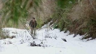 Povestea impresionanta a profesorului din Apuseni care traverseaza muntii pentru a ajunge la doi copii. Desi e trecut de 60 de ani, strabate zilnic un drum de patru ore