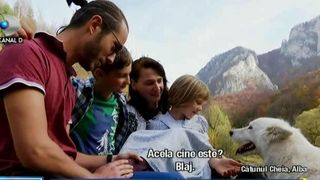 Curaj sau nebunie? O familie din Bucuresti s-a hotarat sa traiasca in salbaticie: "Abia acum simt ca traiesc cu adevarat". Din corporatie, direct in natura
