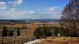 Tinovul Poiana Stampei, una dintre cele mai interesante rezervatii naturale din tara! Traiti o experienta unica in Bucovina, intr-un peisaj ce pare rupt dintr-un basm