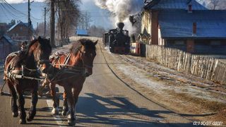 Plimbare cu mocanita de la Moldovita. O calatorie prin sate bucovinene autentice si pe meleaguri de basm. Ati fost aici?